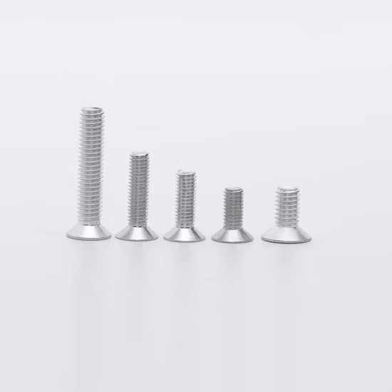 High Quality Titanium Fasteners Ta2 Tc4 Bolt Ti Gr5 M2 Bolt