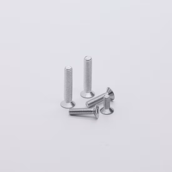 Sujetadores de titanio de alta calidad Ta2 Tc4 Bolt Ti Gr5 M2 Bolt